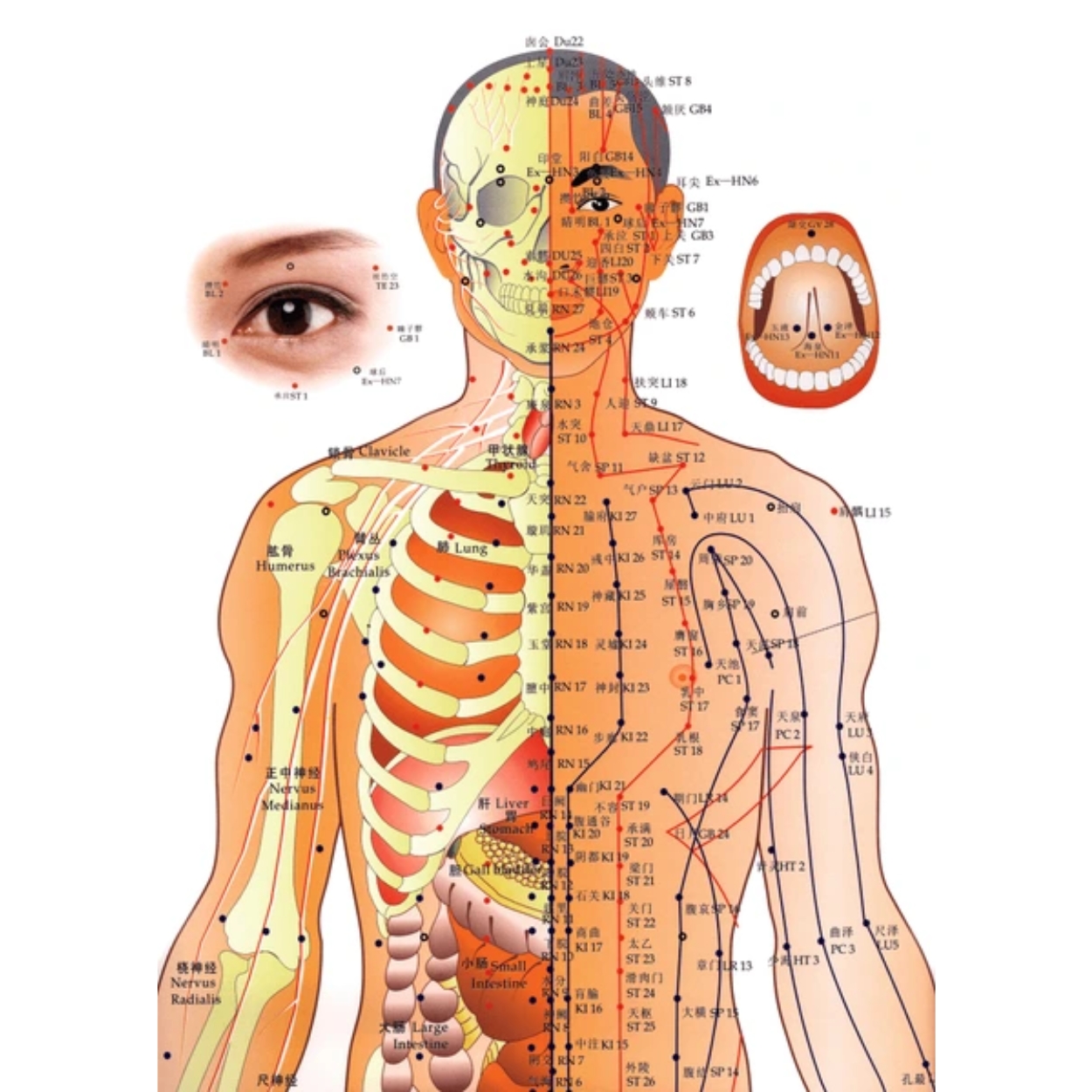 k-start-course-image